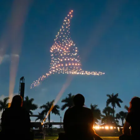 Droneart