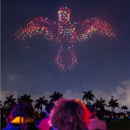 Droneart